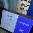 삼성횟집 | 삼성역오징어회 오징어세상 삼성점 삼성역횟집 재방문 후기