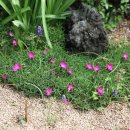 김해제일요양병원 이미지