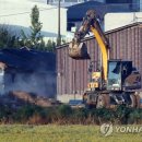 돼지인력 이미지