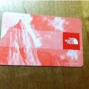 North face gift card 팔아요 ( 228불- 200불에 드려요) 이미지