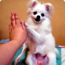 콩이언니