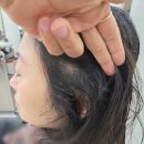 스칼렛 헤어살롱 | (압구정볼륨컷),잔머리 곱슬+손상모 총체적 난국, 여자 볼륨매직 C컬 매직셋팅으로 여신 내추럴 웨이브!
