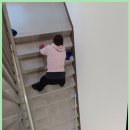 서울청소업체 다함디자인크린 청소 서비스 후기