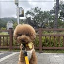 양산유치원 이미지