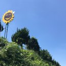 김경숙농장 이미지