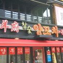 태양부양꼬치 이미지