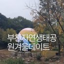 부천자연생태박물관 | 부천 자연 생태공원 식물원 박물관 겨울 데이트하기 좋은 곳