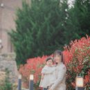 쌍연북2로 이미지