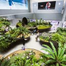 멀티플렉스팩토리 이미지