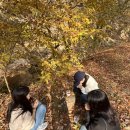 더그레이하우스 이미지