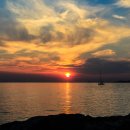 달의 꿈 이미지