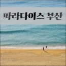 12/4 동백 선캐쳐 | 파라다이스 부산 디럭스 오션 테라스 킹 룸, 수영장 스파 솔직 후기