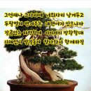 평강의료기