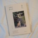 더초록 이미지