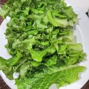 하동냉난방 | 하동 켄싱턴리조트 커플 BBQ 디너, 조식 뷔페 내돈내산 이용 후기