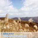 와룡자연휴양림자동차야영장 이미지