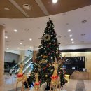 하버파크호텔 이미지