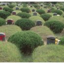 제일장의사 이미지