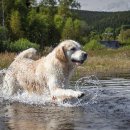 스포팅(SPORTING) 이미지