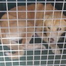 완월동225 이미지