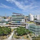 도전 악필탈출 이미지