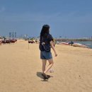 ˘◡˘..&#39;여름이었다..&#39; 속초 2일차/속초해수욕장/속초항항아리물회