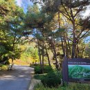 청평신통한의원 이미지