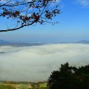 밝은마음 이미지