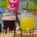 타파웨어다모아 이미지