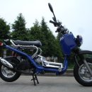 하나정보 이미지