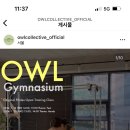 아울콜렉티브