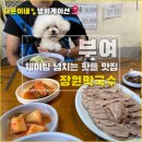 장원 | 부여 애견 동반 식당 - 강아지랑 장원막국수 다녀온 후기