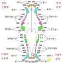 한가람동물의료센터 이미지