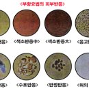 보장플러스 이미지