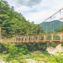 생태터널입구 이미지