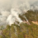 대형산불의 책임은 어디에 있나 이미지