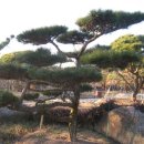 노고단-12 이미지