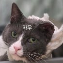 이경 메디칼 네이버블로그