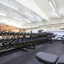 쏘마휘트니스 이미지