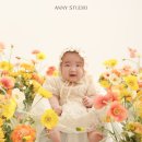 연제구-100 | [ 애니스튜디오 부산연제점 ]100일 촬영 후기