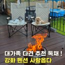 애견동반 독채펜션 '사랑옵다' 시댁식구와 다녀온 솔직후기 (동물병원 원장님이 감탄한 슬개골 안심 숙소)