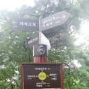 진토베기 이미지