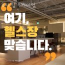 동선동헬스장 유타짐 프리미엄 후기