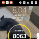 황토탕 - 영도구 청학남로 6 | 황토탕