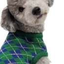 도그레이 이미지