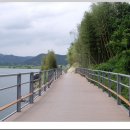 낙동강자전거길4 이미지