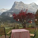 아이거 | 스위스 그린델발트 숙소 아이거뷰 샬렛 Bargsunna 후기