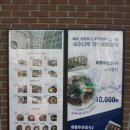 국수나무용황지구점