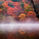 화진중학교 이미지