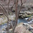 정선 도원펜션&캠핑장 이미지